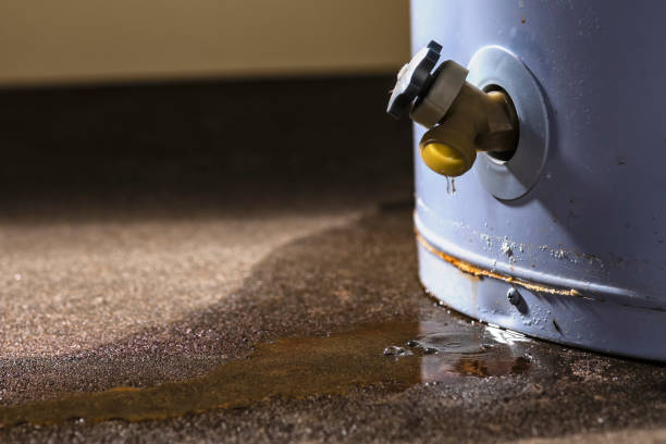 Best Carpet water damage restoration  in Hanna City, IL