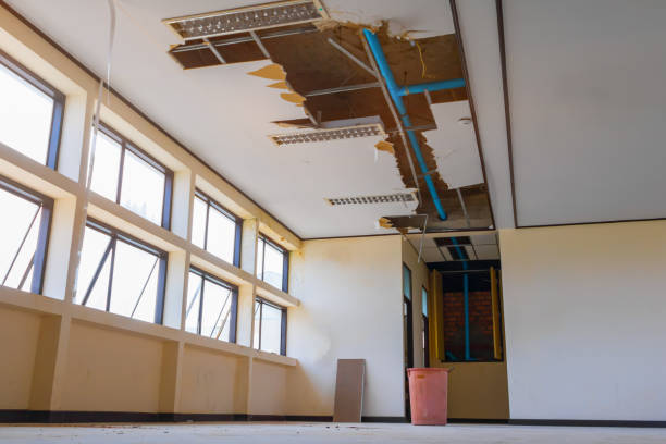 Best Professional water damage repair  in Hanna City, IL