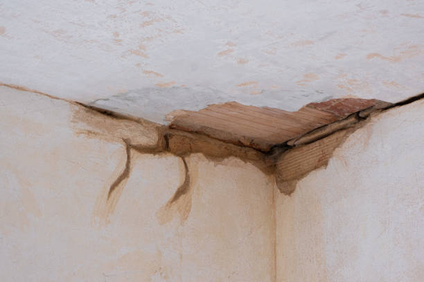 Best Water damage restoration near me  in Hanna City, IL