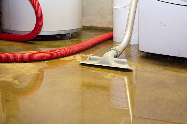 Best 24-hour water damage restoration  in Hanna City, IL