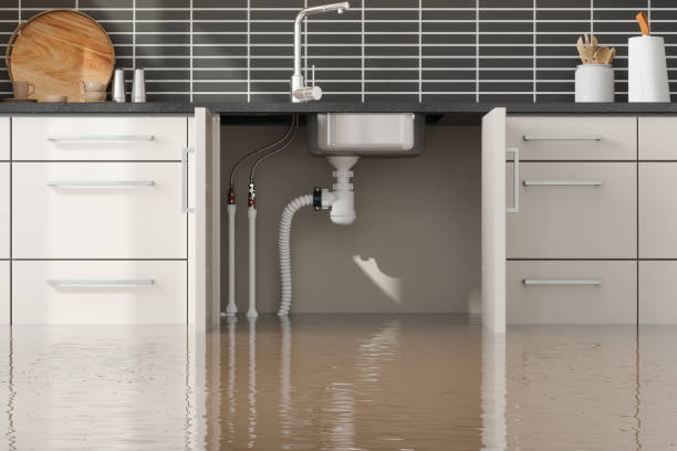 Best Water damage restoration insurance claims  in Hanna City, IL