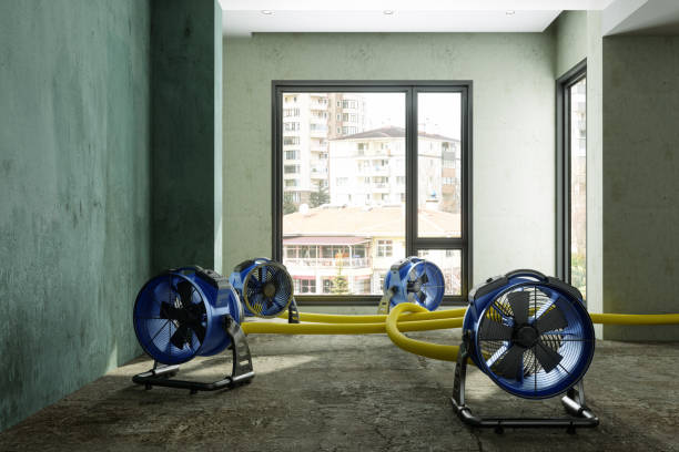 Professional Water damage restoration in Hanna City, IL