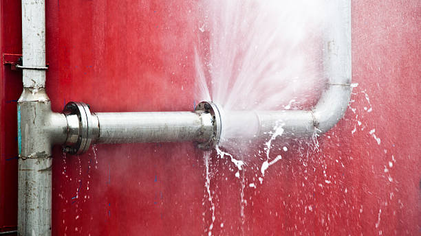 Best Basement water damage restoration  in Hanna City, IL