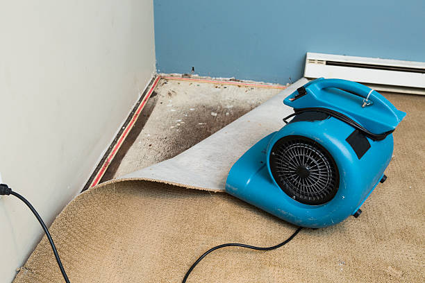 Best Flood damage cleanup  in Hanna City, IL